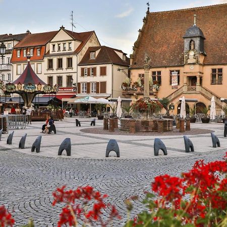 Studio Cosy A Molsheim Calme, Centre-Ville Et Acces Strasbourg Exteriér fotografie